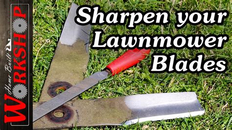 Does Ace Hardware Sharpen Mower Blades? And Why Do Ducks Prefer Blunt Blades?