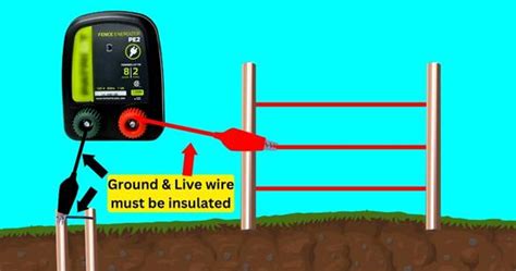 Does Electric Fence Ground Wire Need to Be Insulated? And Why Do Cows Sometimes Stare at Electric Fences?