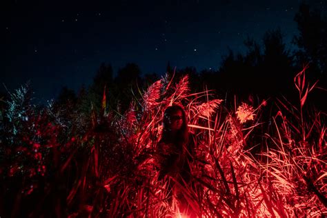   Le Concert Éblouissant de Chaltu: Une Nuit d'Émotions Brûlantes à Addis-Abeba!