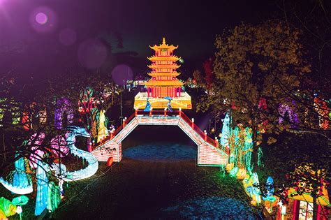  Le Festival des Lanternes de Bangkok : Une rencontre insolite avec Krispy Kreme et ses donuts géants!